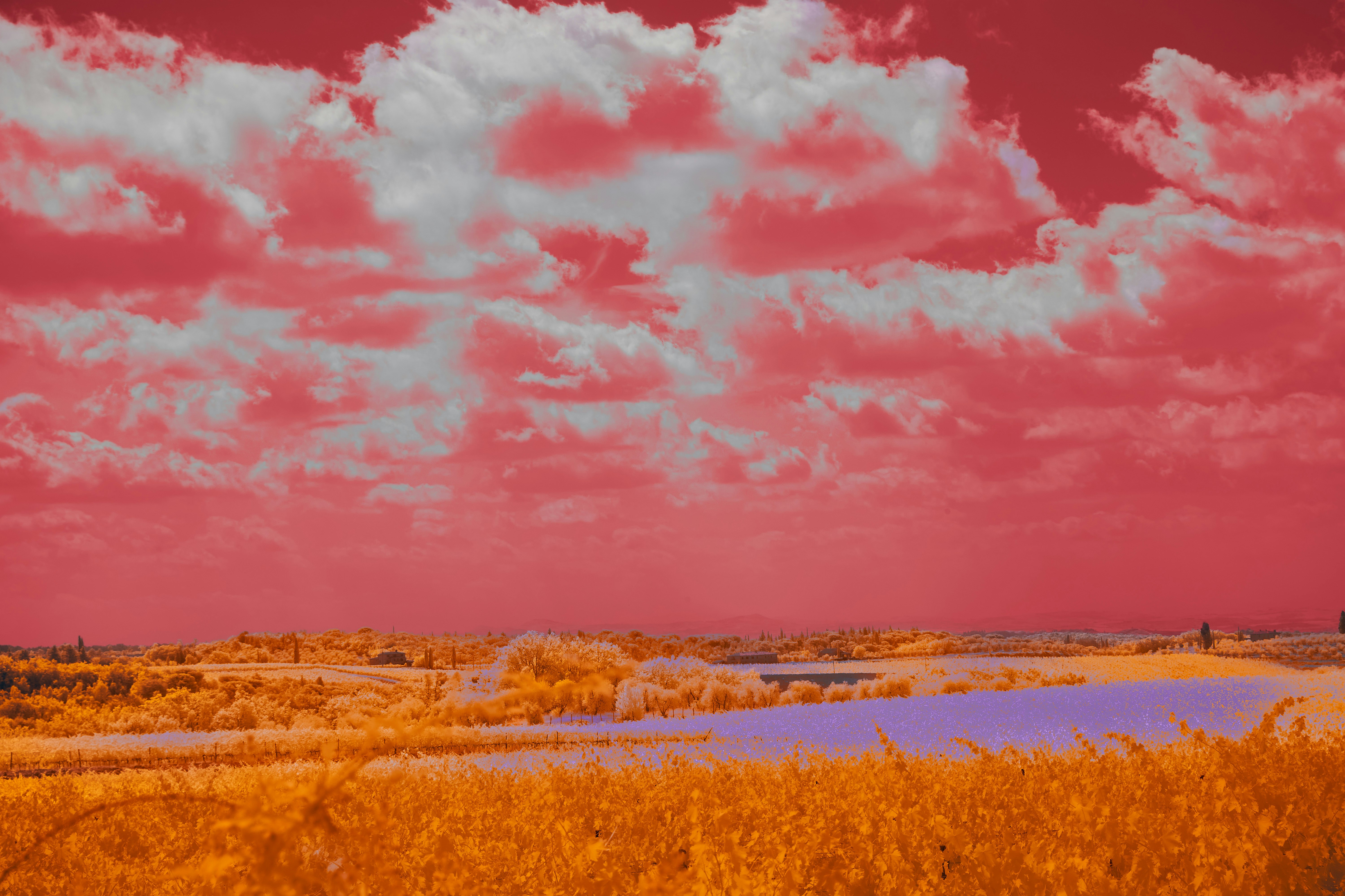 Photo by wolfgang_hasselmann