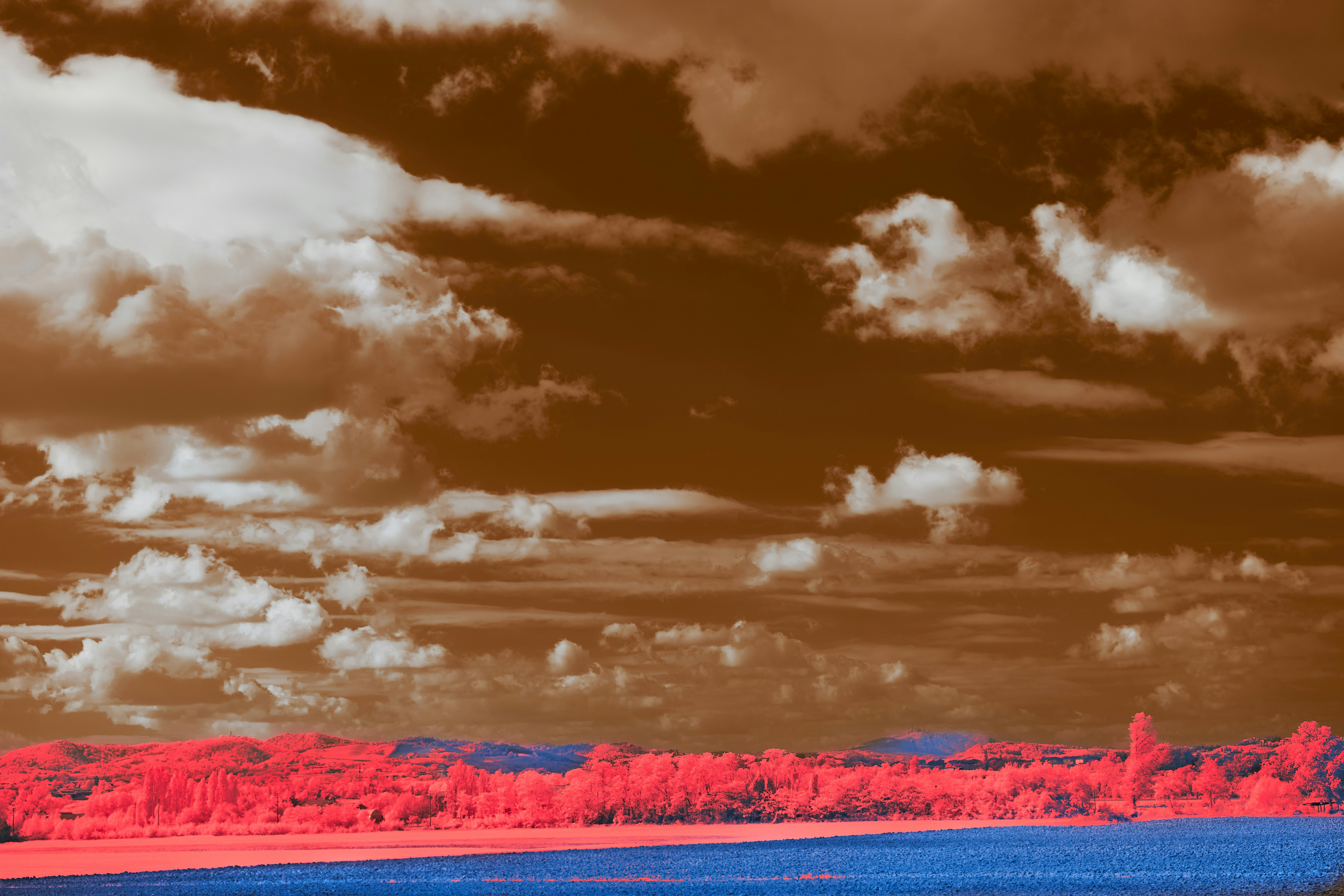 Photo by wolfgang_hasselmann