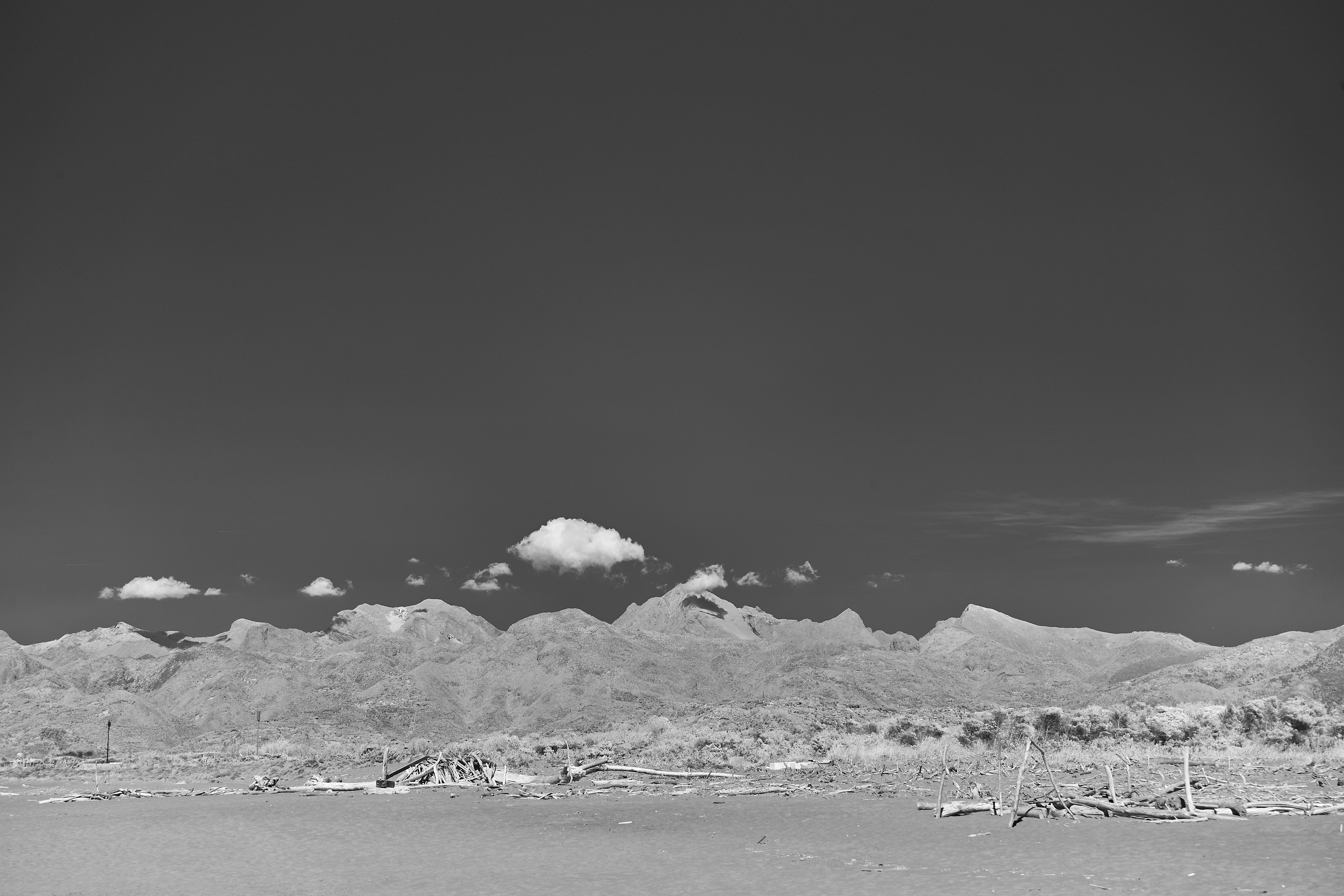 Photo by wolfgang_hasselmann