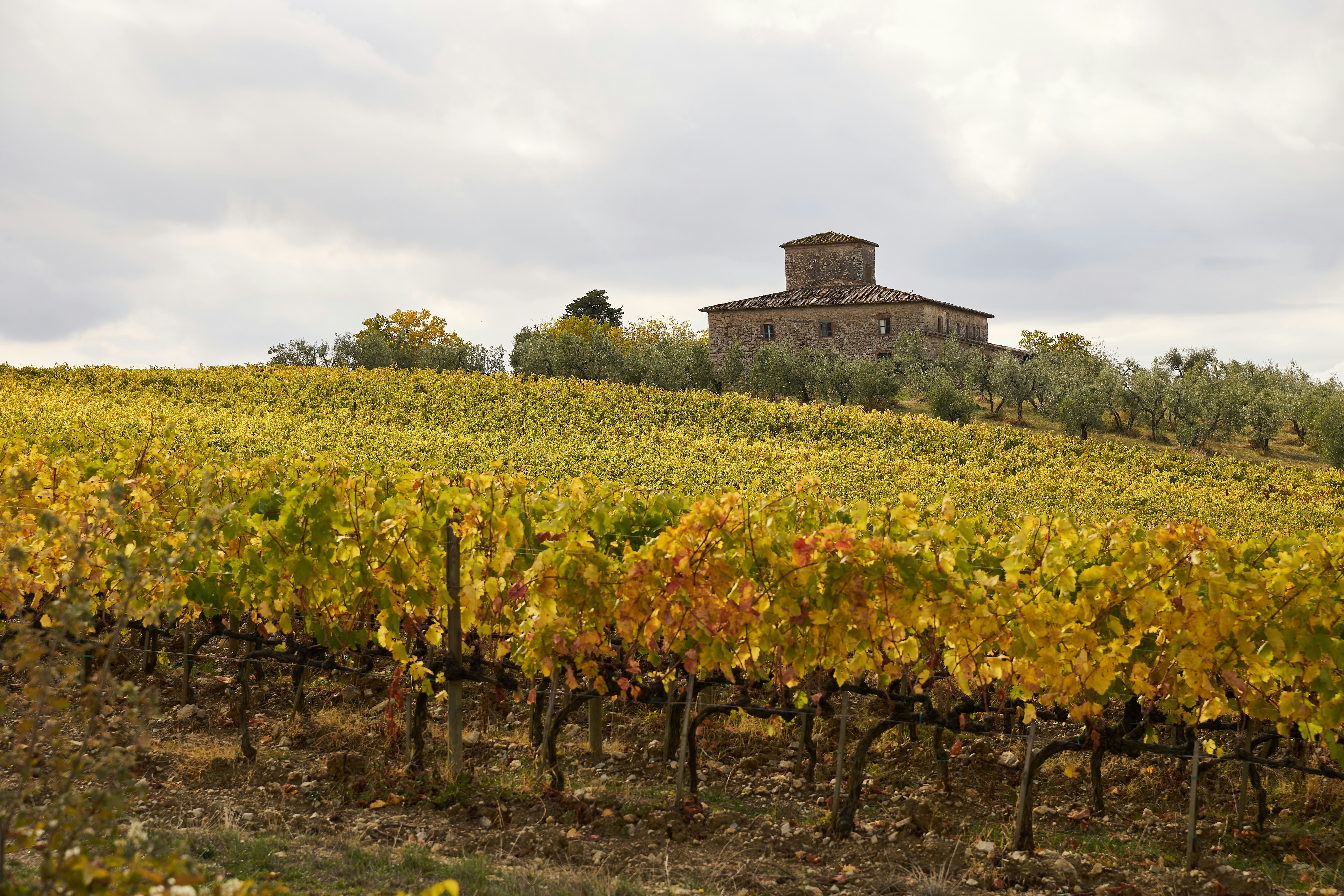 Photo by wolfgang_hasselmann