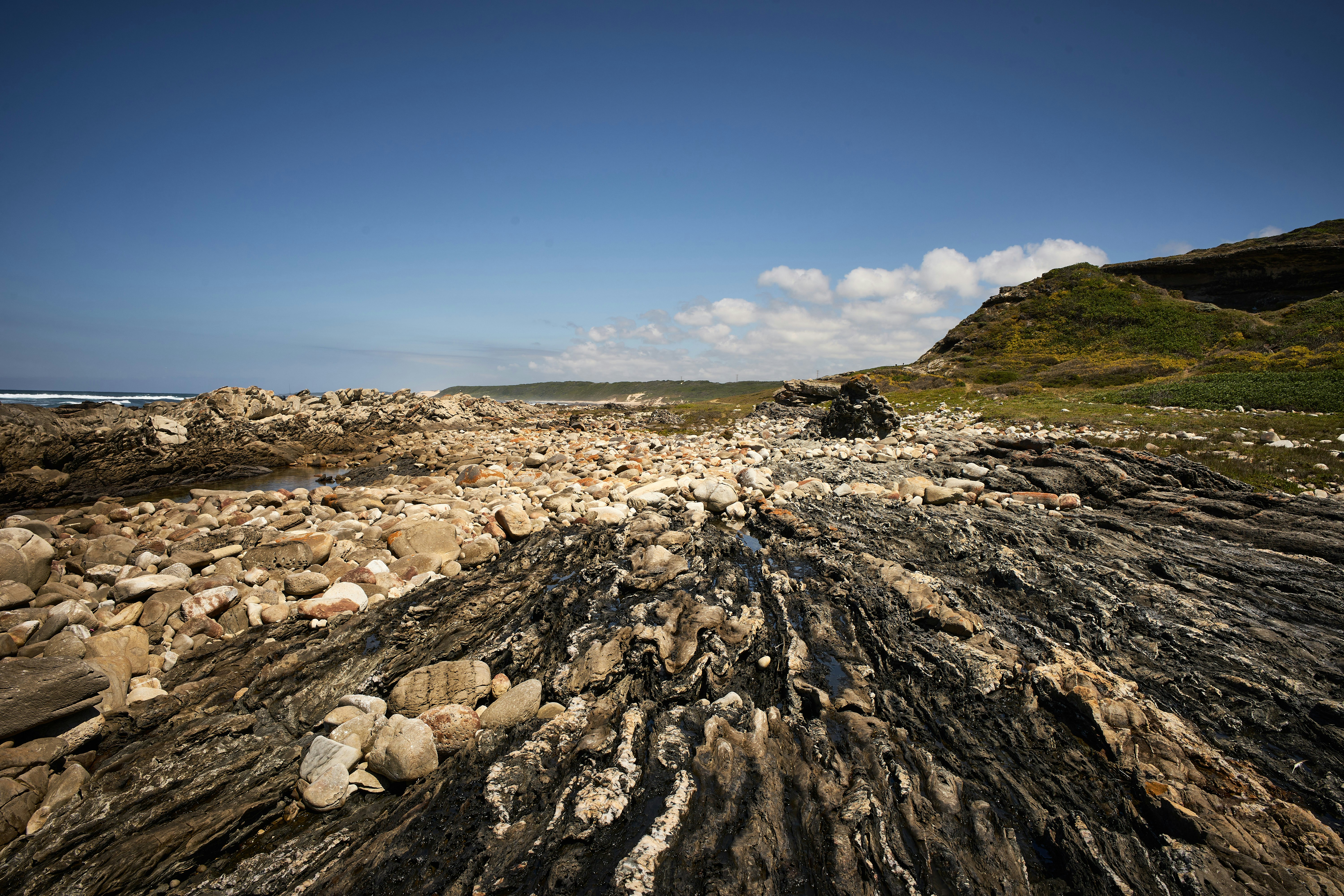 Photo by wolfgang_hasselmann