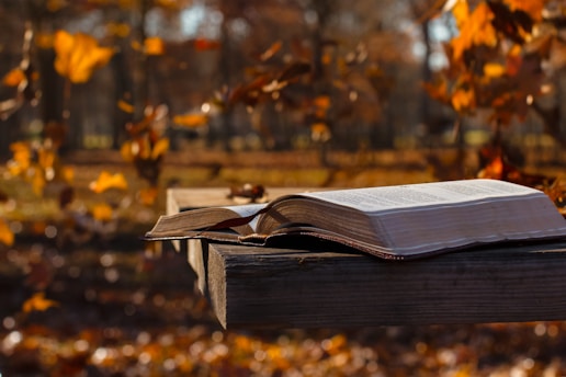 a book on a table