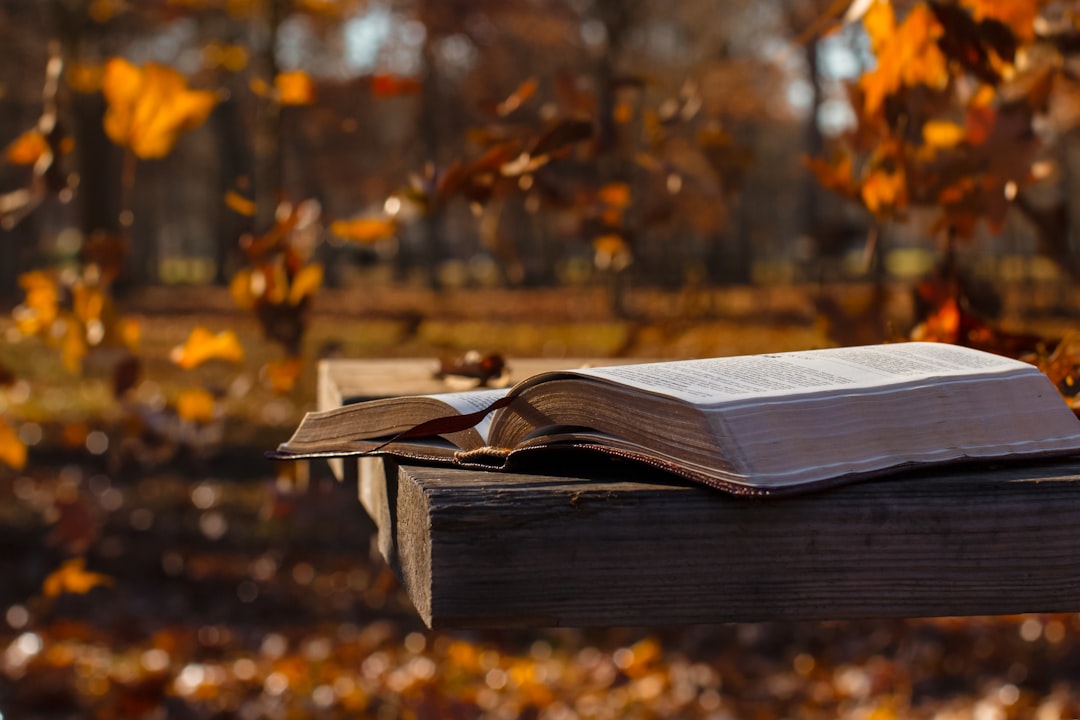 a book on a table, An open bible and autumn leaves