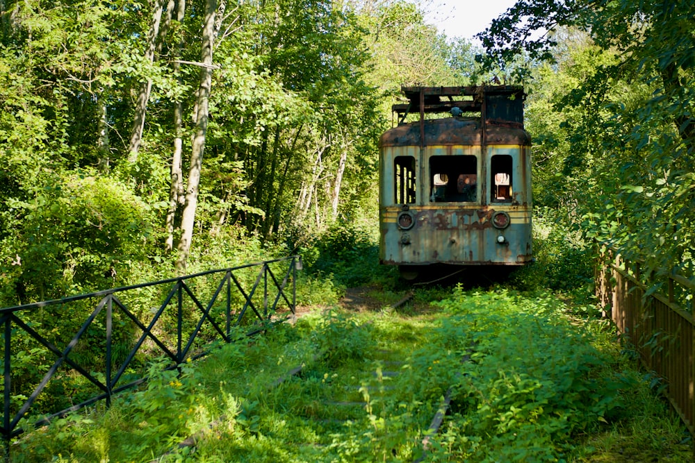 a train travels through a wooded area