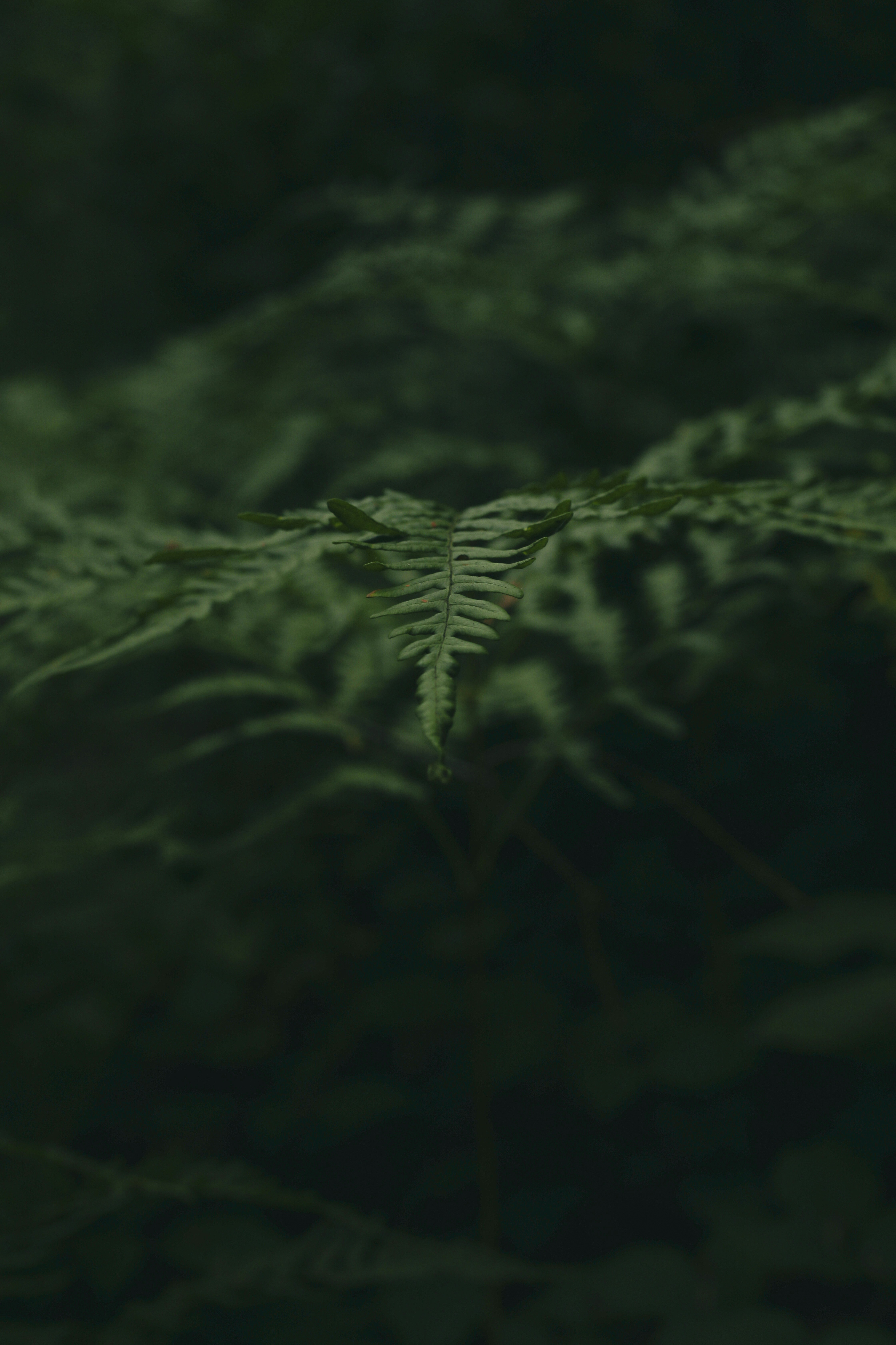 Photo by marina_malkova