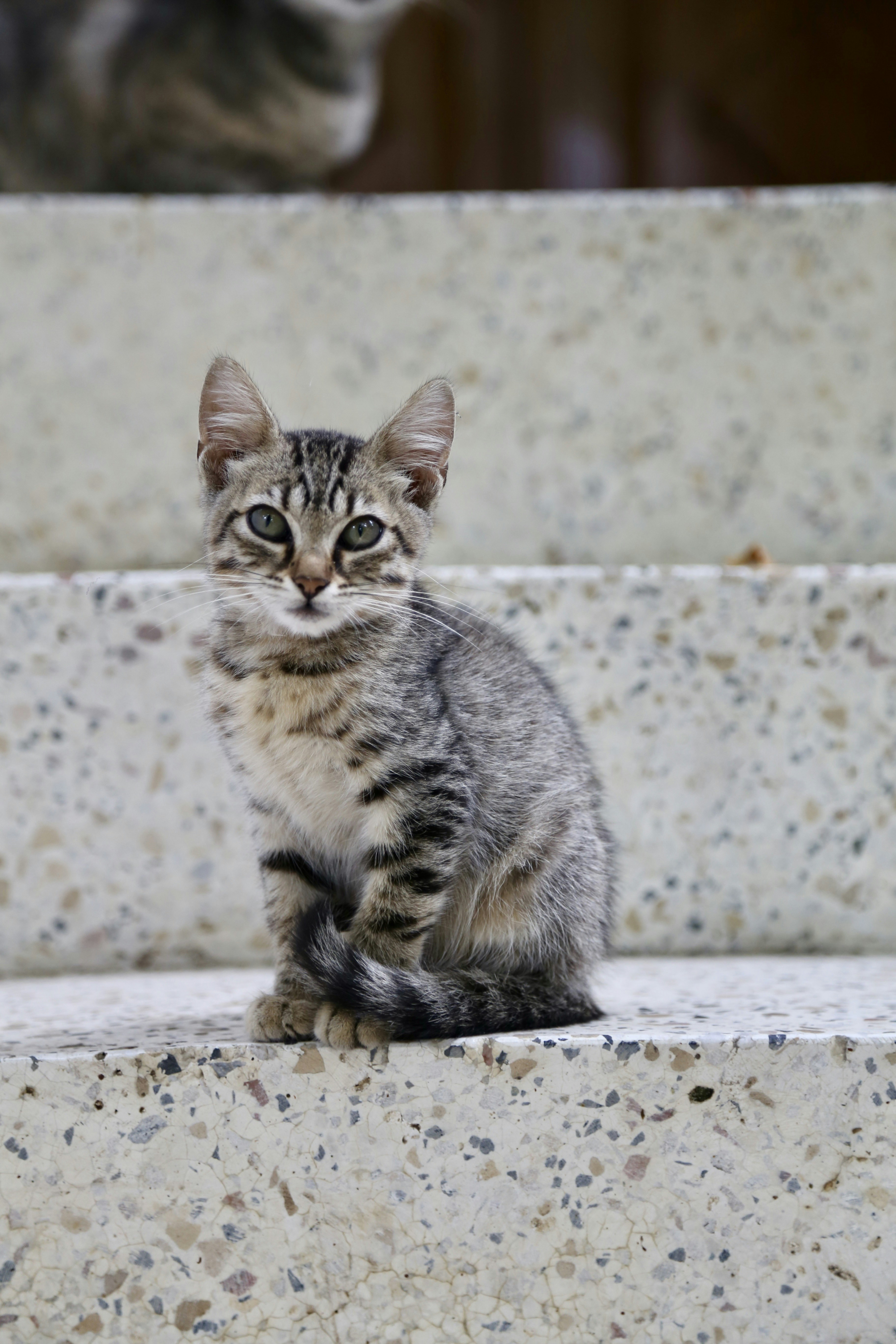 Photo by yildizbolat