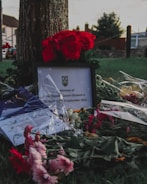 Flowers and a framed memorial message placed at the base of a tree. The scene is set outdoors, likely in a park or garden, with blurred houses and trees in the background. The memorial appears to honor Queen Elizabeth II, featuring vibrant red roses and various other flowers.