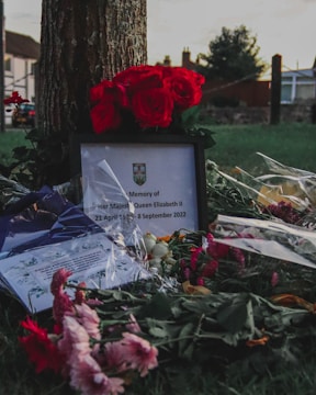 Flowers and a framed memorial message placed at the base of a tree. The scene is set outdoors, likely in a park or garden, with blurred houses and trees in the background. The memorial appears to honor Queen Elizabeth II, featuring vibrant red roses and various other flowers.