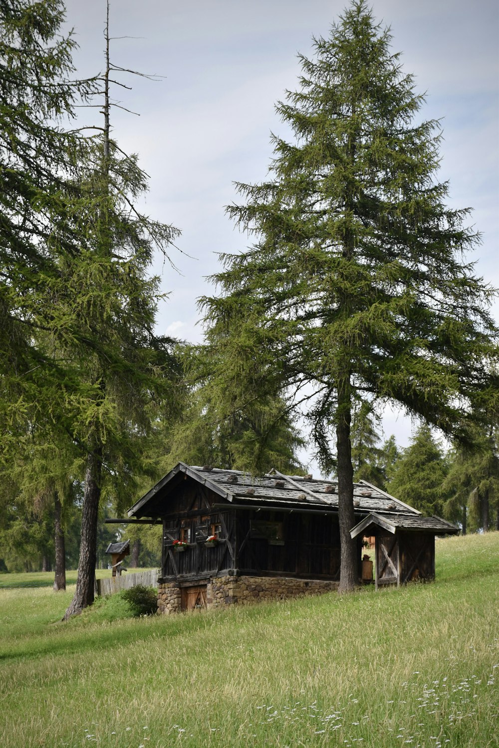 a house with trees around it