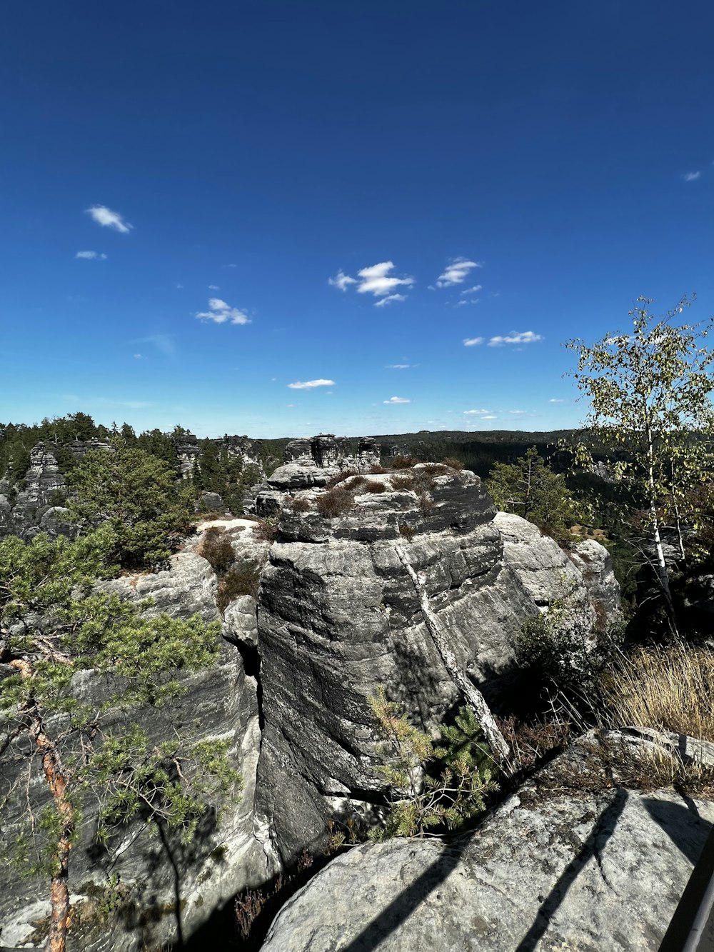 a rocky cliff with trees and blue sky