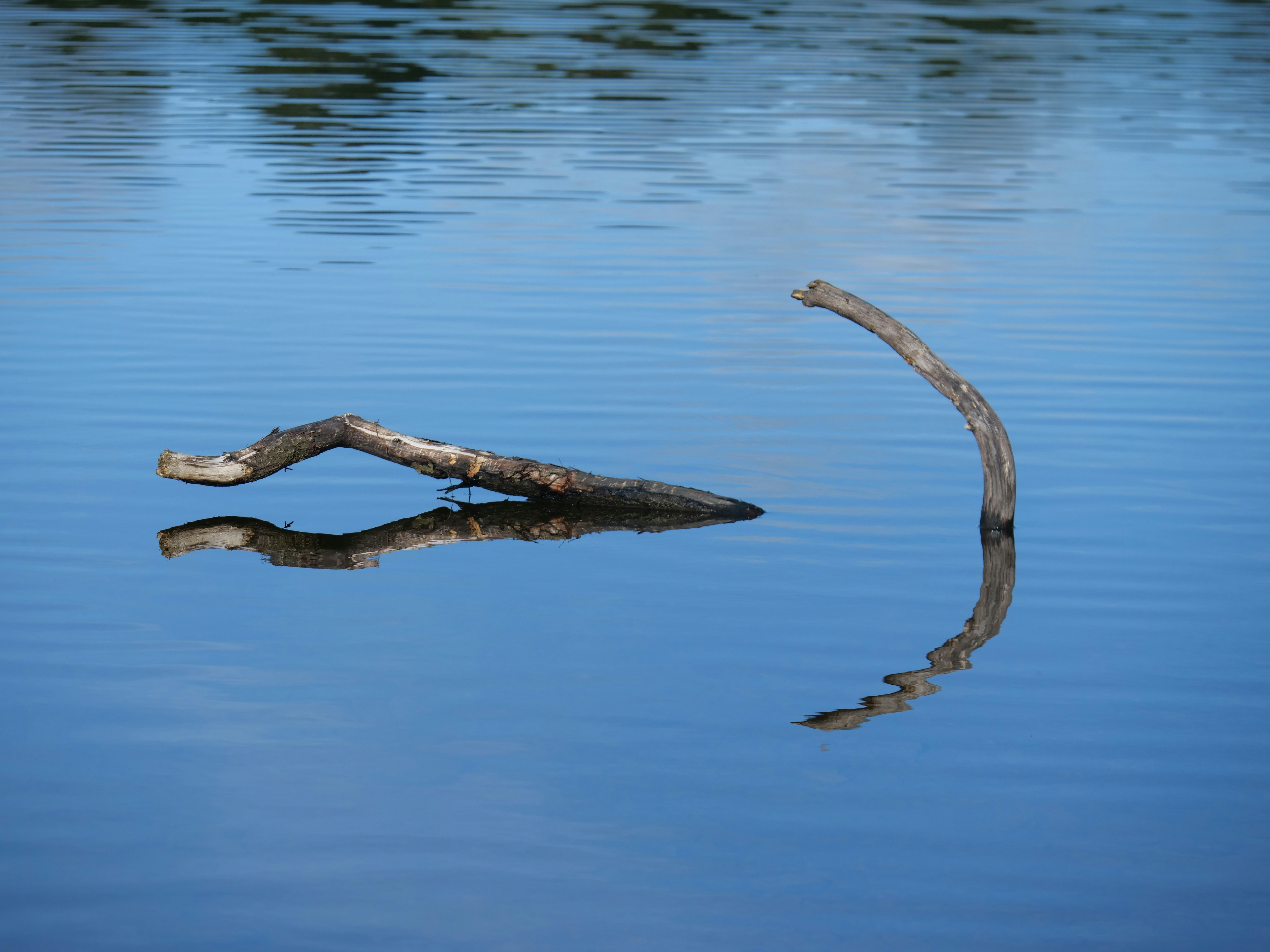 Photo by bryan151055