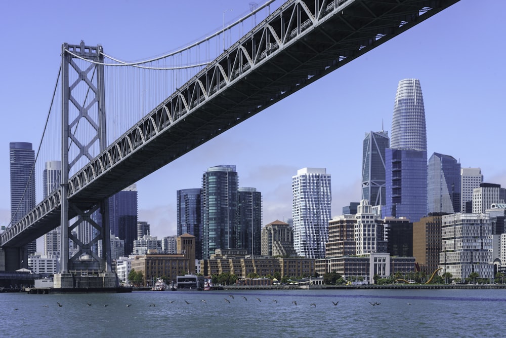 a bridge over water with a city in the background