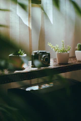 A cozy studio corner bathed in natural light, with camera gear gently resting beside a simple vase of fresh flowers.