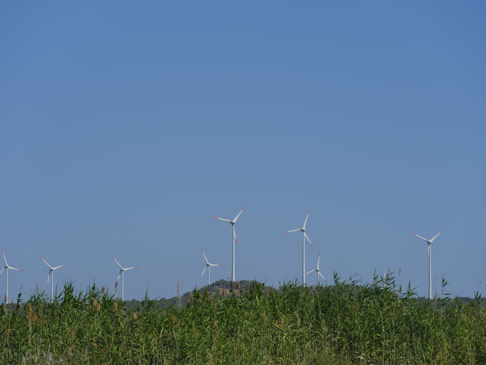 a group of wind turbines