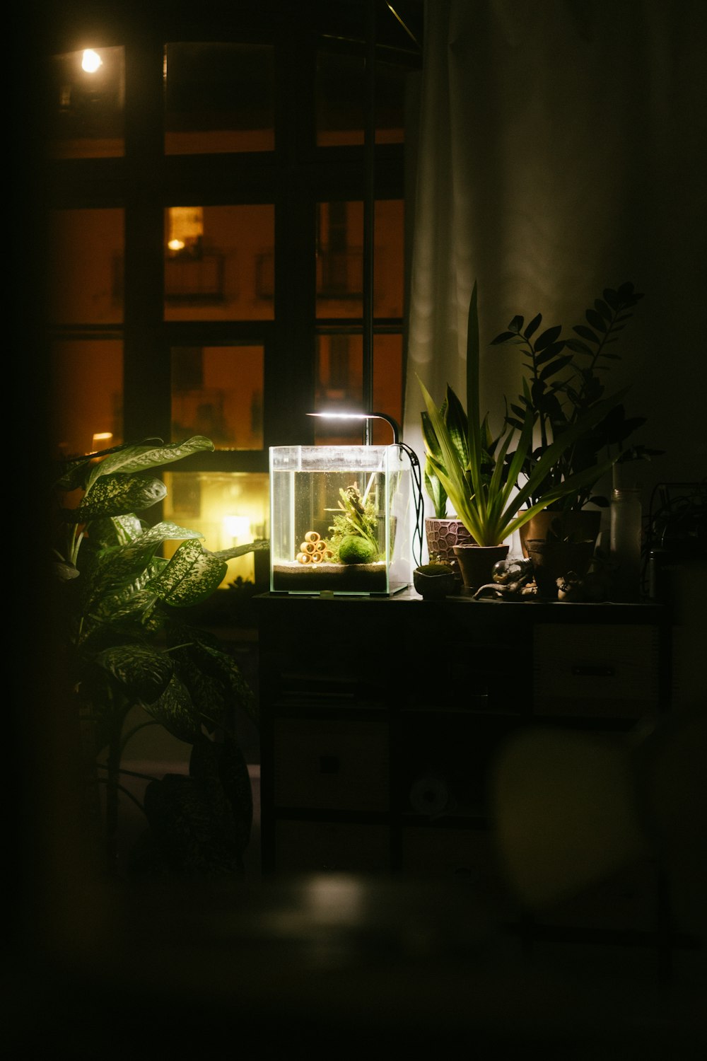 a room with a window and plants