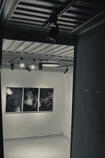 A dimly lit gallery room featuring three abstract black and white artworks displayed on a white wall. The ceiling has several spotlights focused on the artwork, casting subtle shadows in the room.