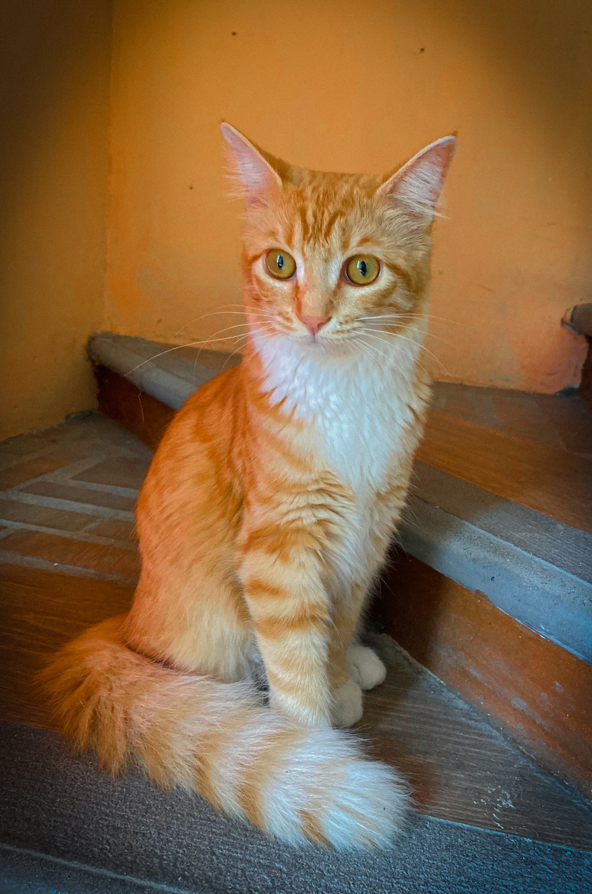 gray computer monitor