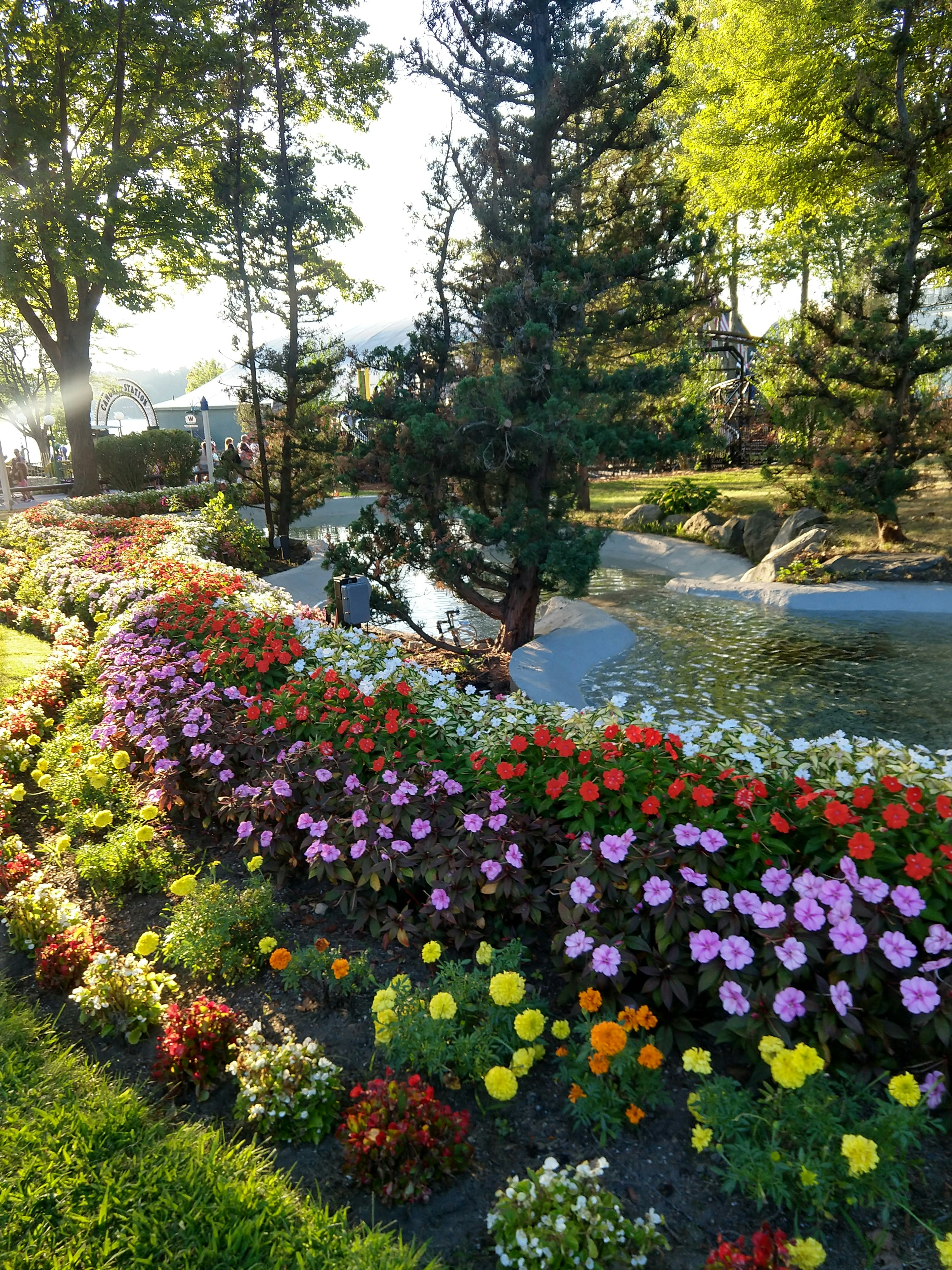 A garden with colorful flowers photo – Free Plant Image on Unsplash