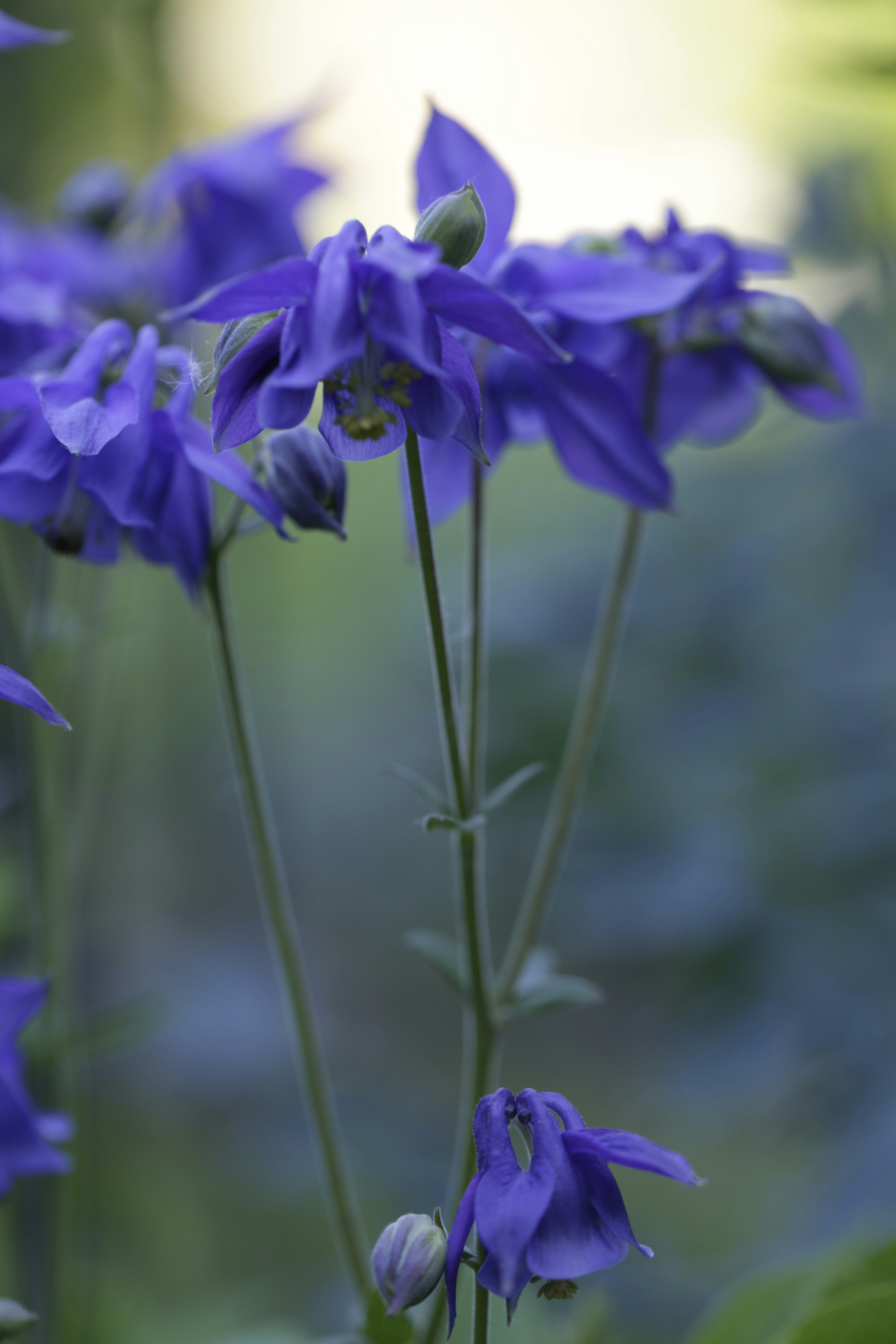 Photo by mariekathrindaspet