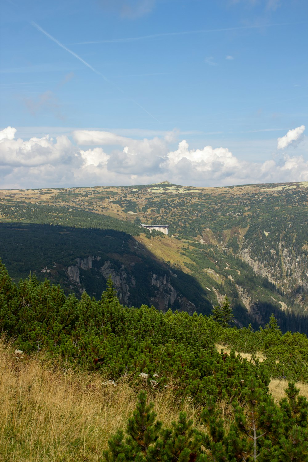 a landscape with trees and hills