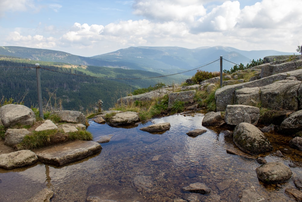 a river with rocks and grass