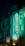 A vibrant neon sign displaying the word 'CASINO' is prominently illuminated against the facade of a building, showcasing intricate architectural details and a classic design. The sign emits a bright teal glow, casting light on the surrounding area and creating a lively atmosphere at night.