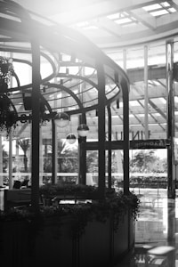 A black and white photograph of a modern indoor space with high ceilings and large windows. The architecture features metal and glass structures. There is a rounded wooden kiosk adorned with hanging plants and pendant lights. Outside, trees and foliage can be seen through the windows, along with a sign that appears to read 'PAQUETE'. Reflections are visible on the shiny floor.