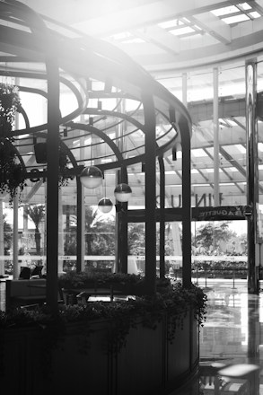 A black and white photograph of a modern indoor space with high ceilings and large windows. The architecture features metal and glass structures. There is a rounded wooden kiosk adorned with hanging plants and pendant lights. Outside, trees and foliage can be seen through the windows, along with a sign that appears to read 'PAQUETE'. Reflections are visible on the shiny floor.