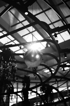 A monochromatic photograph captures a modern architectural structure with a geometric grid of beams and glass panels on the ceiling. A spherical light fixture hangs from the ceiling with light streaming through it, creating a starburst effect. Various hanging plants are visible in the background, adding a natural element to the industrial design.
