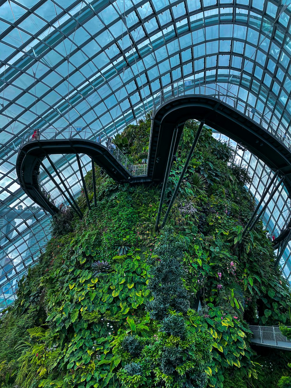 a large glass building with plants and trees