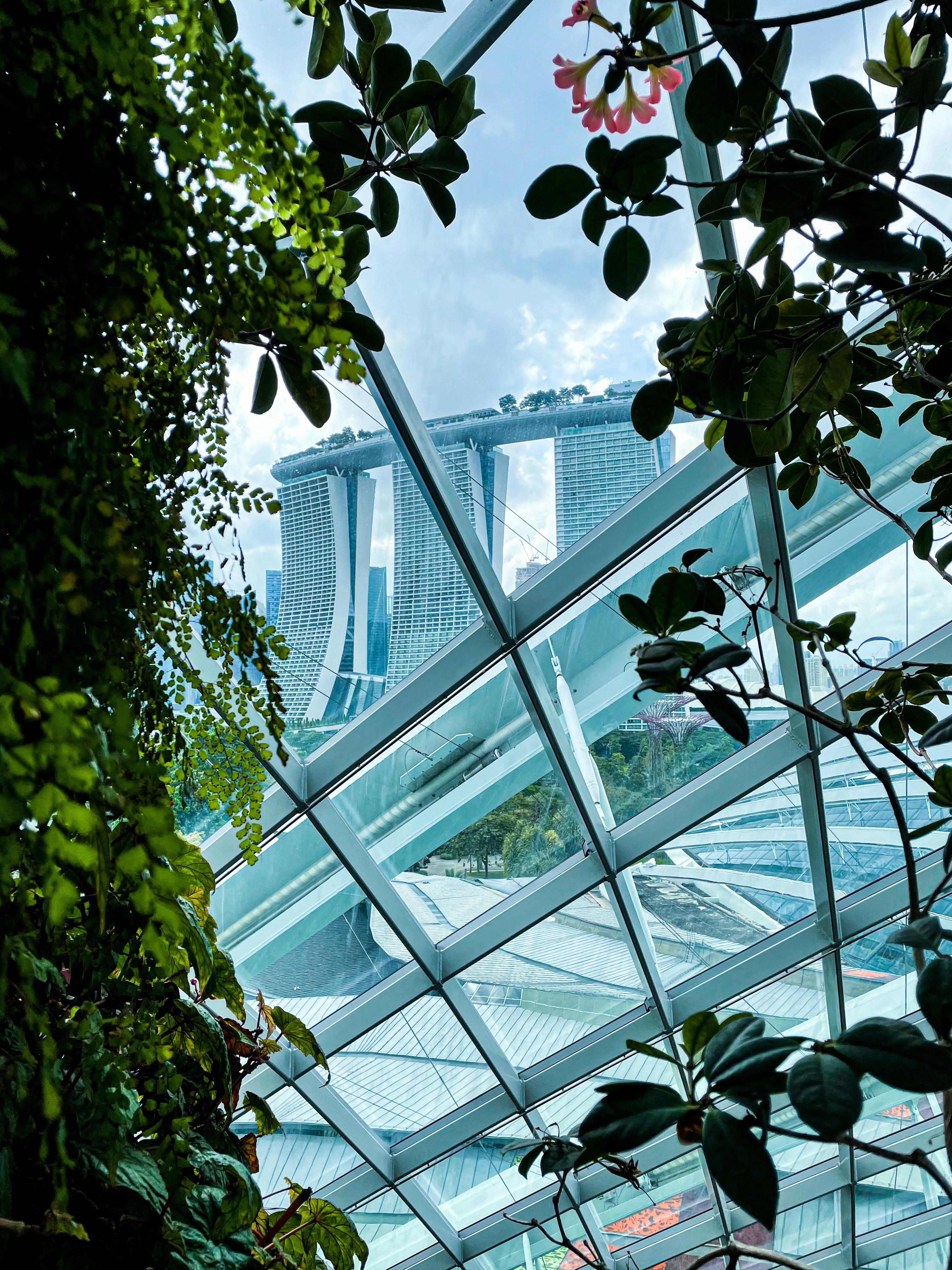 Ein hohes Gebäude hinter einem Baum
