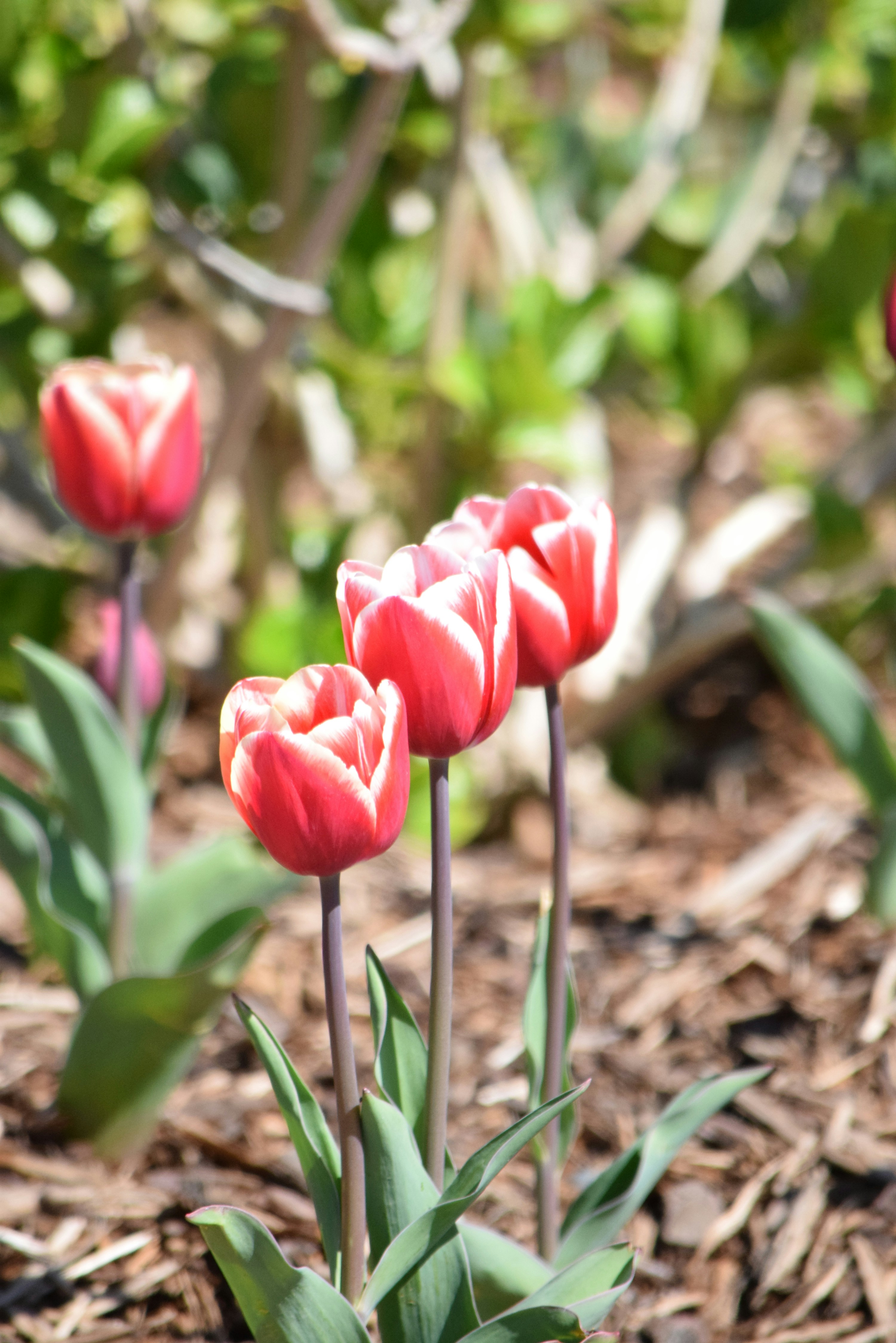 Photo by ch_photography