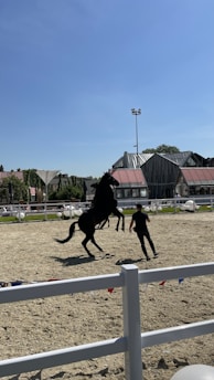 A horse rears up on its hind legs while a person stands nearby in a sandy arena. The background features a few modern buildings and a clear blue sky.