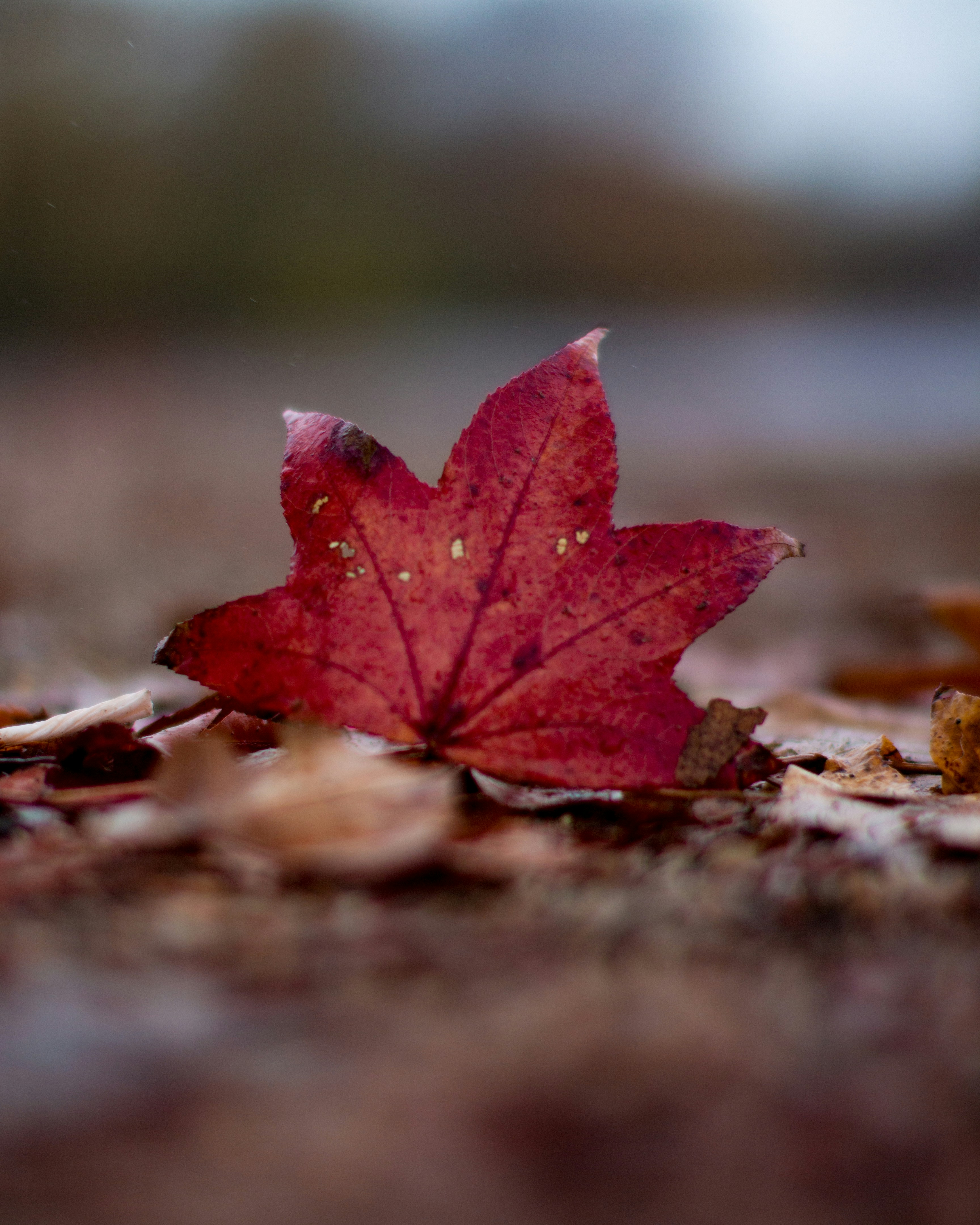 Photo by emmanuelphaeton