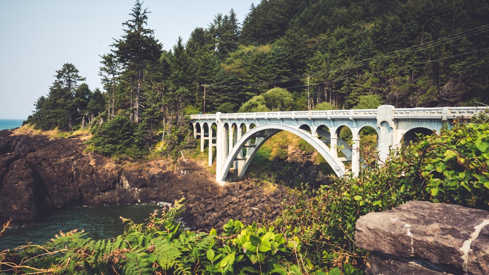 un pont au-dessus d’une rivière