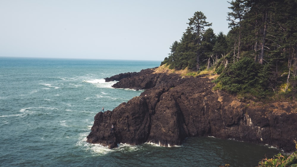 a rocky cliff with trees on it