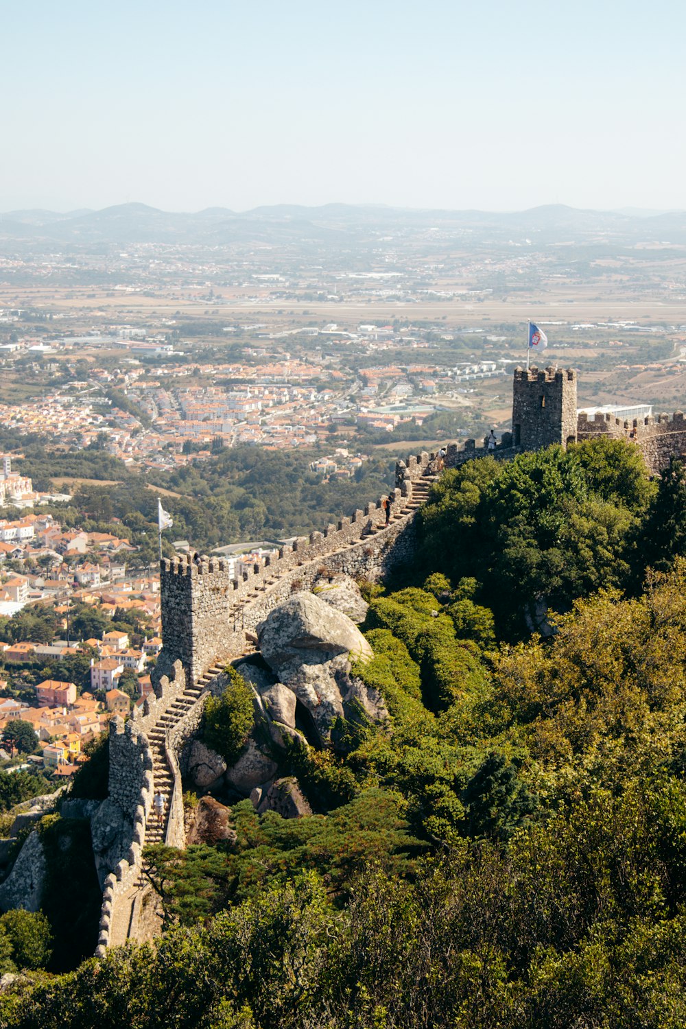 a city with trees and a castle