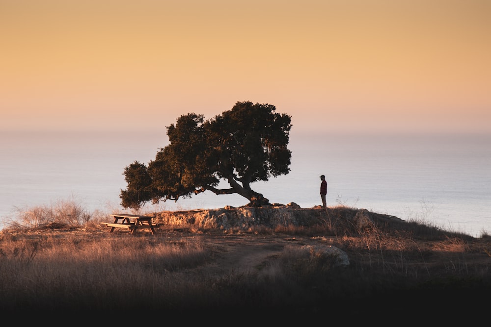 a person standing next to a tree