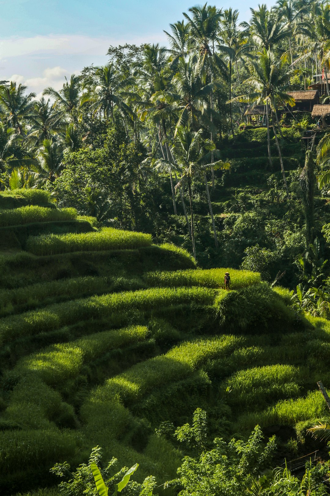 Natural landscape photo spot Ubud Uluwatu