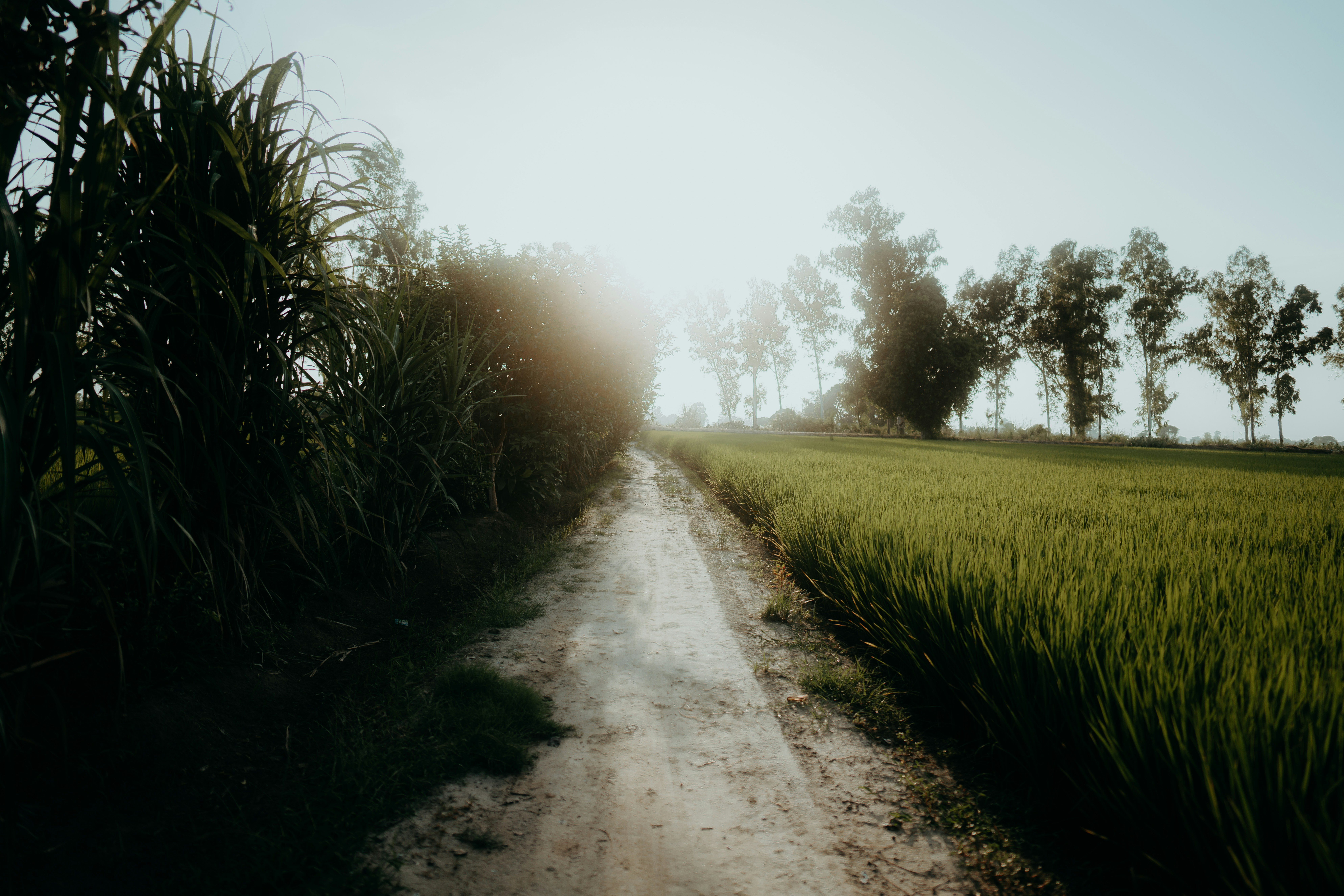 Photo by designbyjas