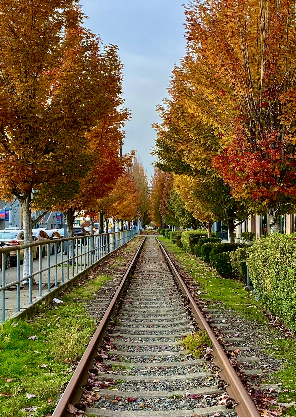 a train track with trees on either side of it