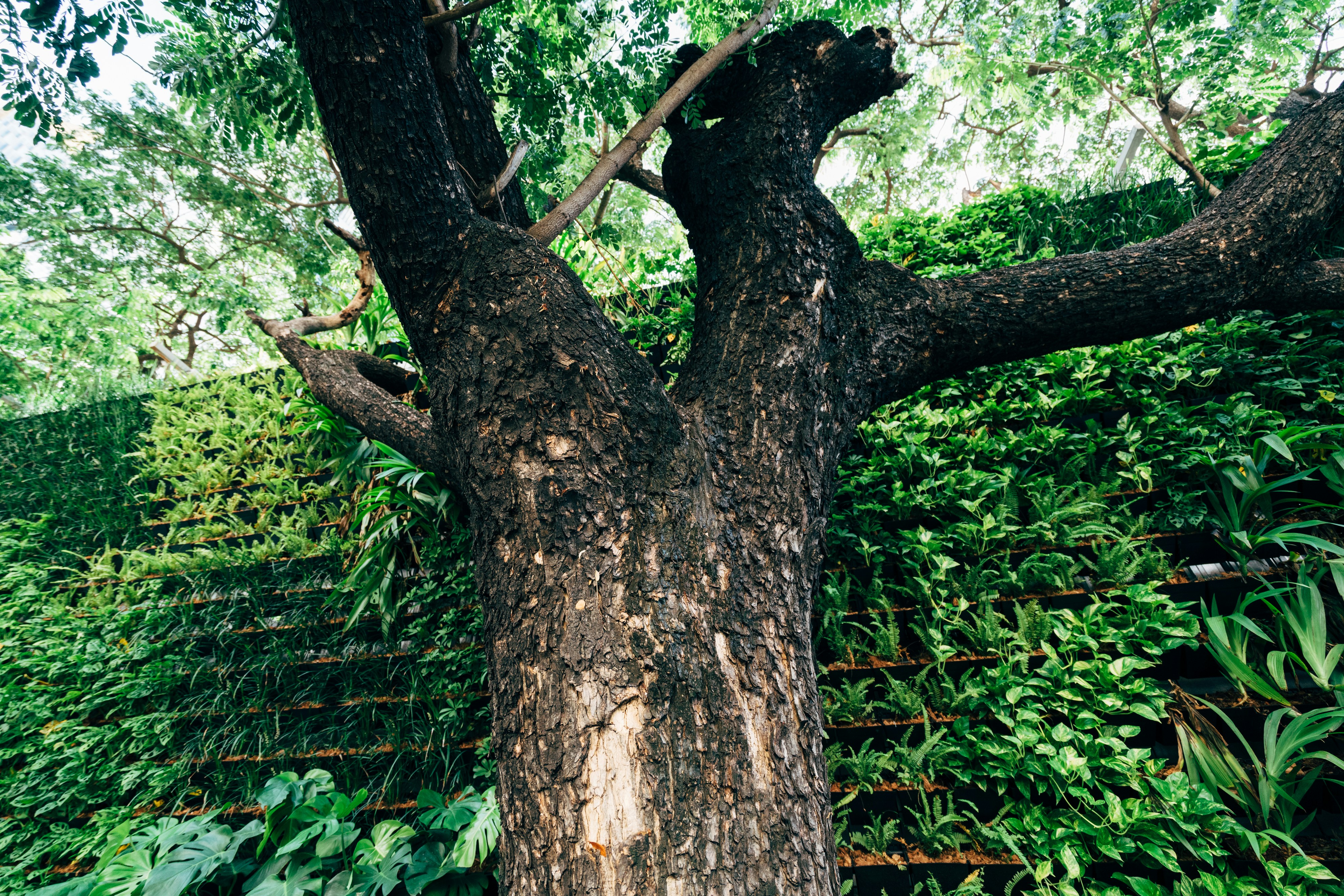 Photo by markuswinkler