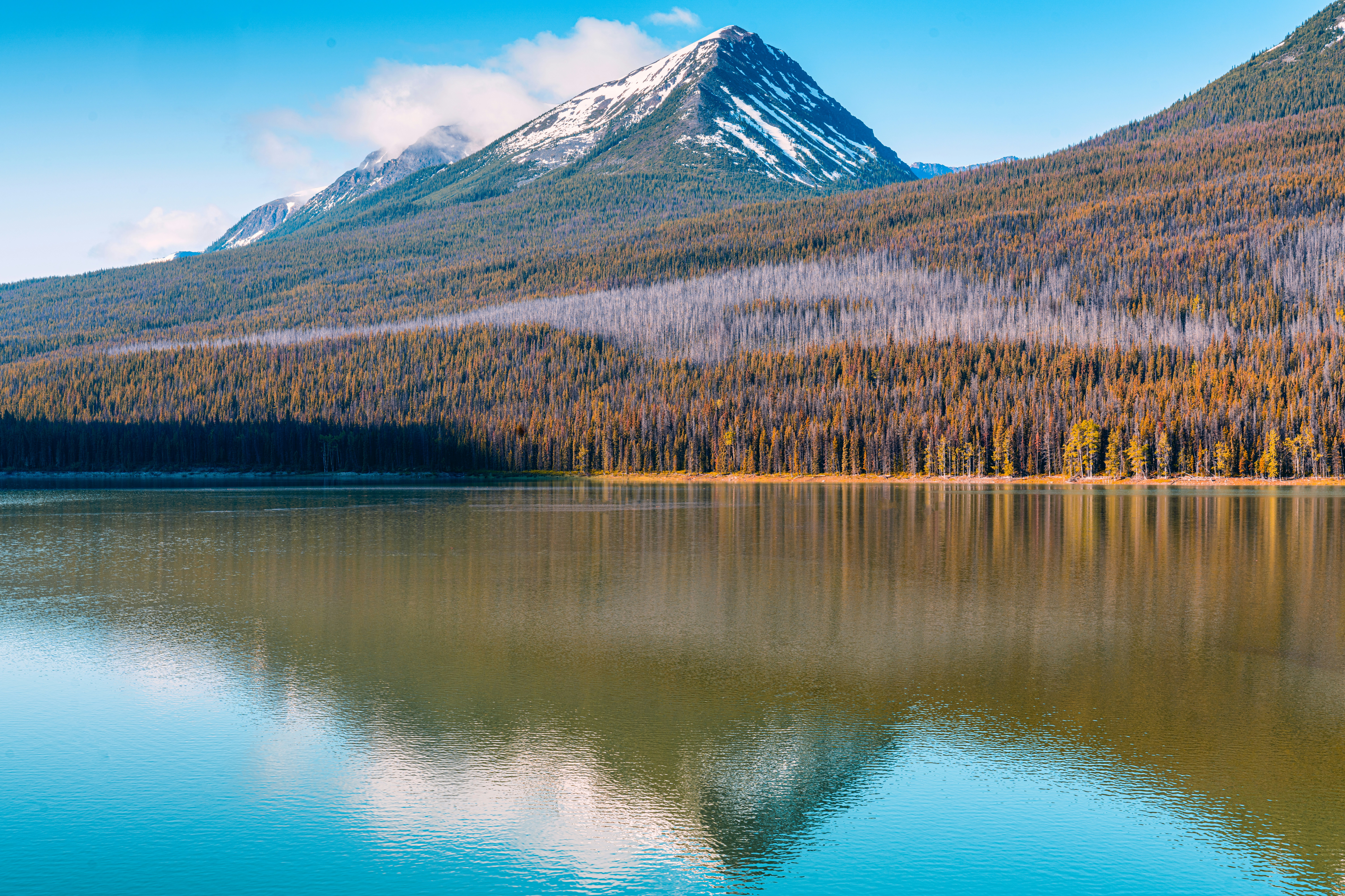 Photo by karthik_sreenivas