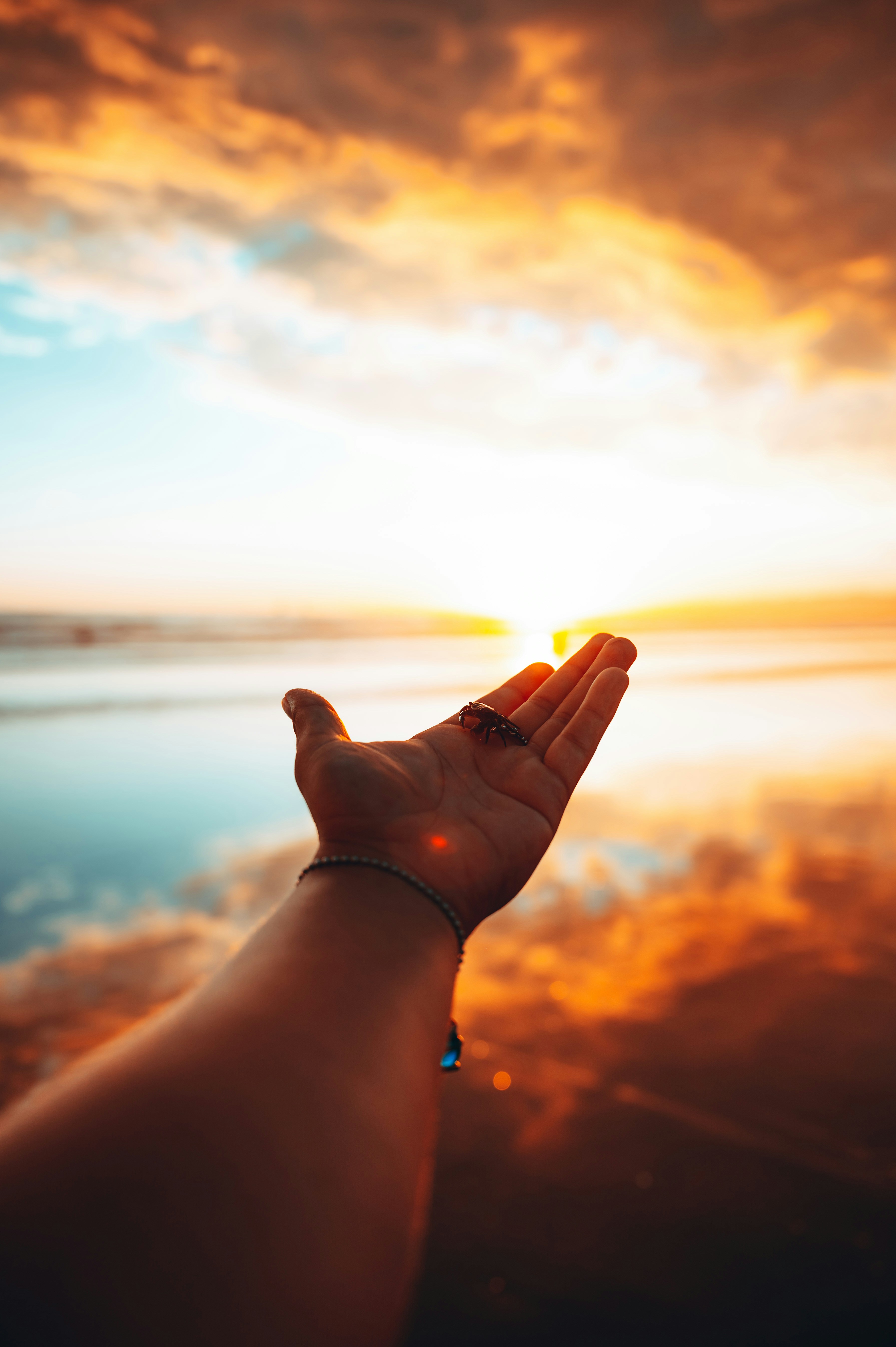 Photo by solus_adrift