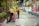 Two workers in uniform are collecting trash at night on a city street. They are using a large bag to gather waste, near a line of empty benches. The street is illuminated with artificial lights and lined with trees, creating an urban yet serene atmosphere.