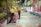 Two workers in uniform are collecting trash at night on a city street. They are using a large bag to gather waste, near a line of empty benches. The street is illuminated with artificial lights and lined with trees, creating an urban yet serene atmosphere.