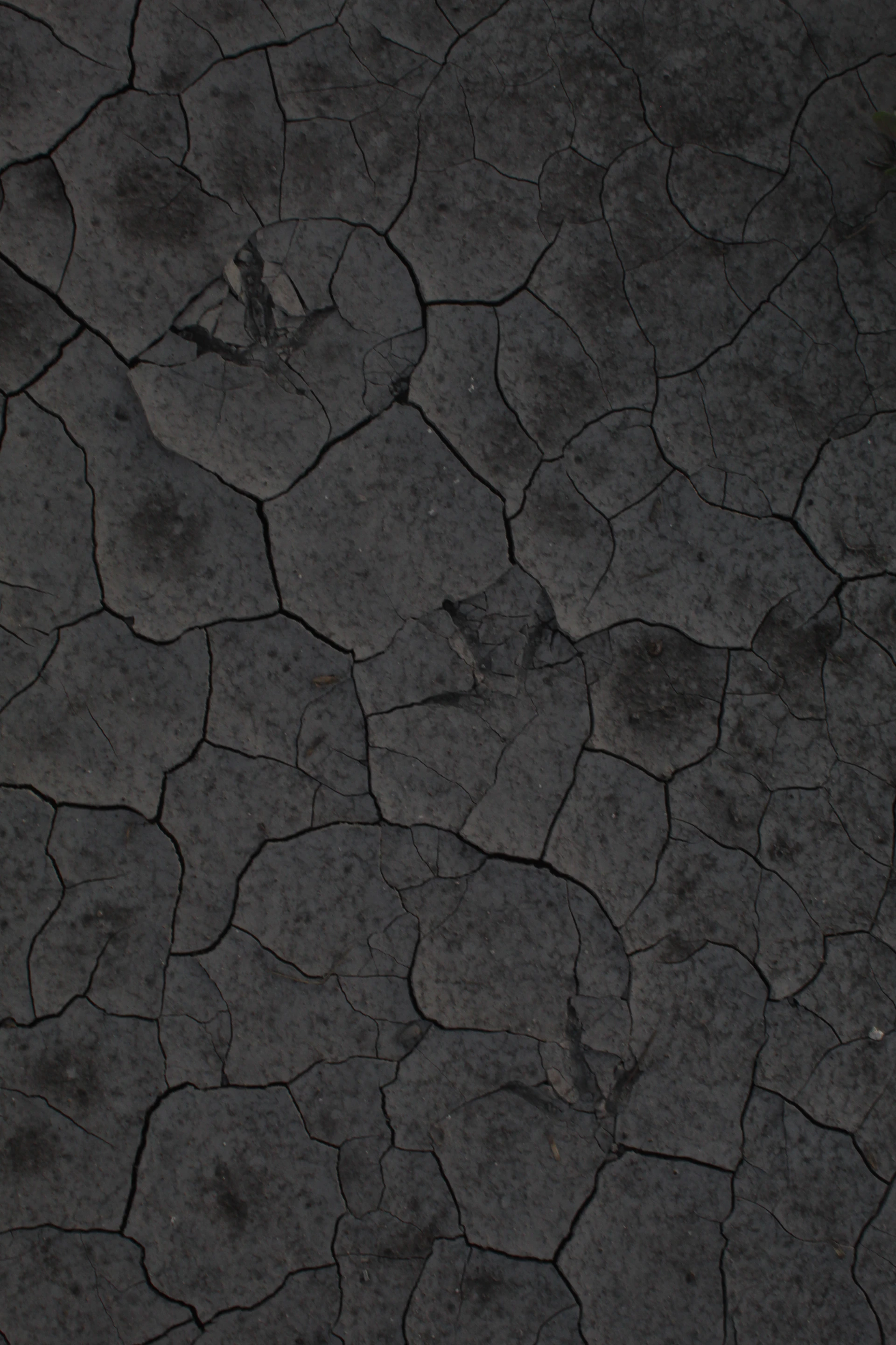 a cracked dry ground