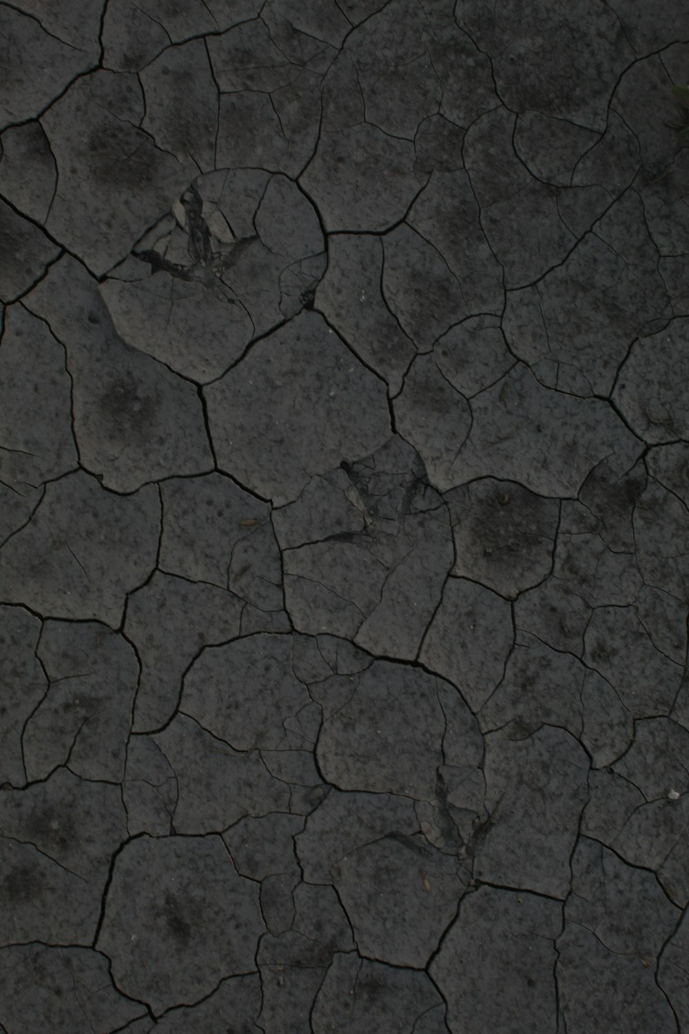 a cracked dry ground