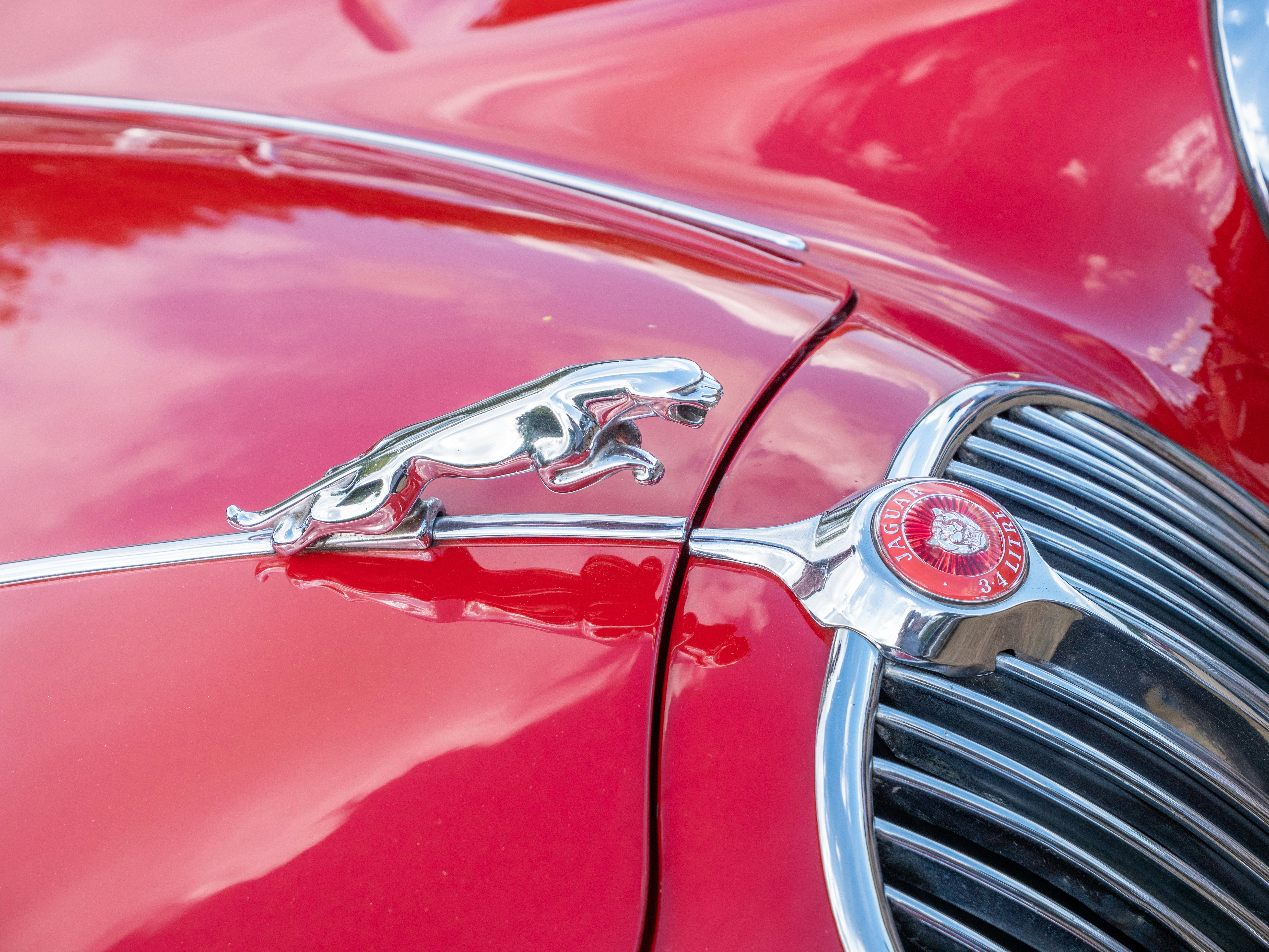 Photo by trustbattlerat