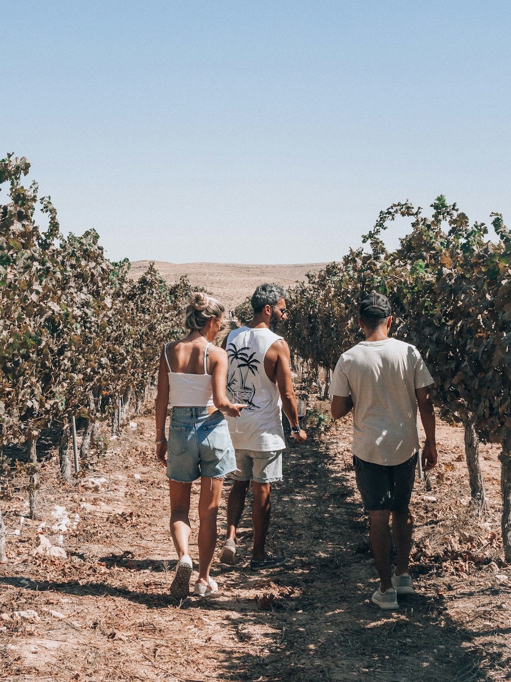 a group of people walking on a dirt path